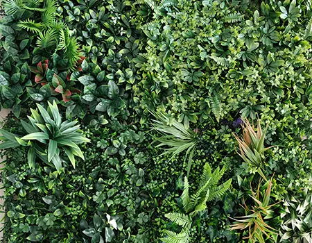 Plantes artificielles
