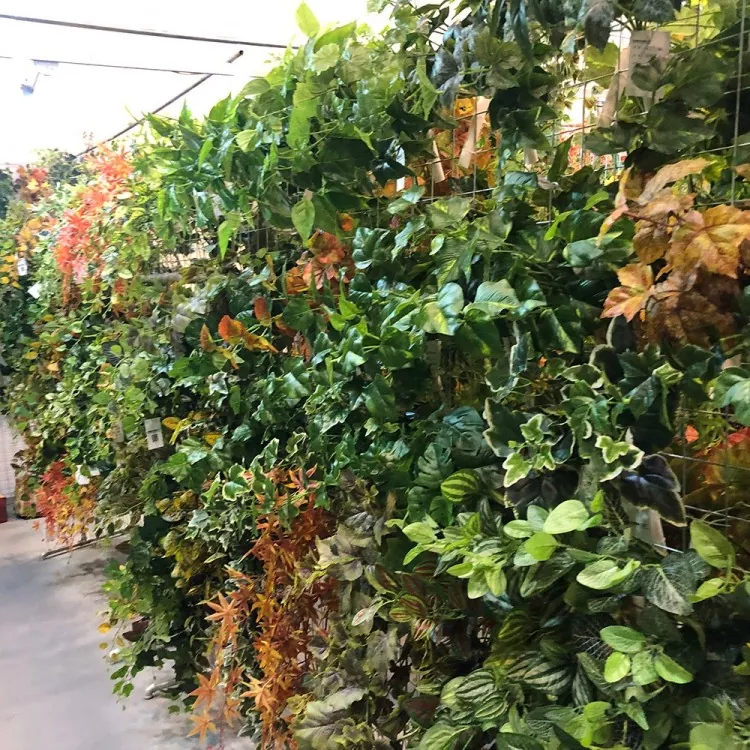 Plante de lierre artificiel