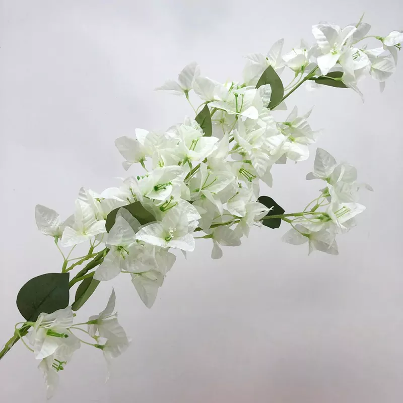 Fausses fleurs de bougainvillea