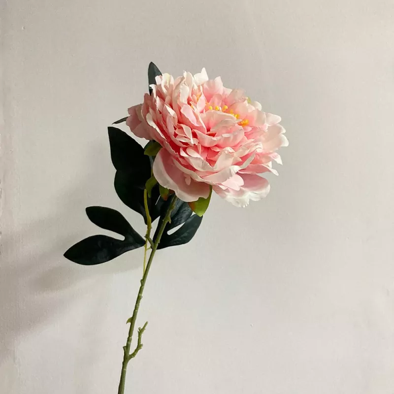 Long single tige fausse pivoine