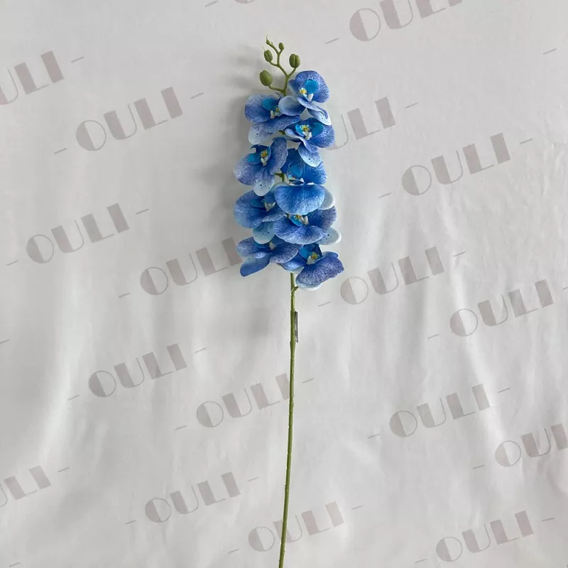Fausse orchidée multi-couleurs