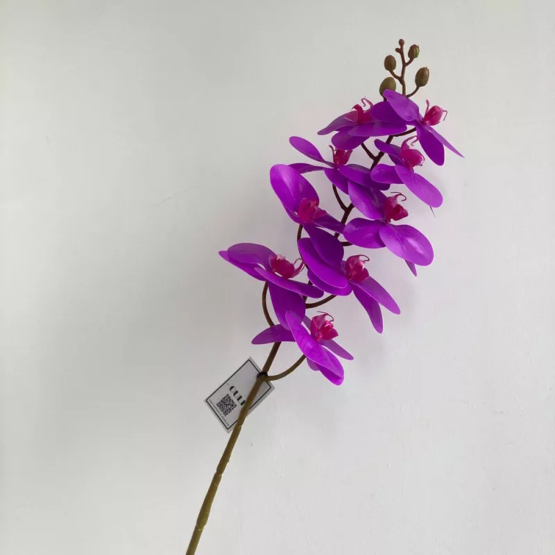 Orchidée artificielle réelle