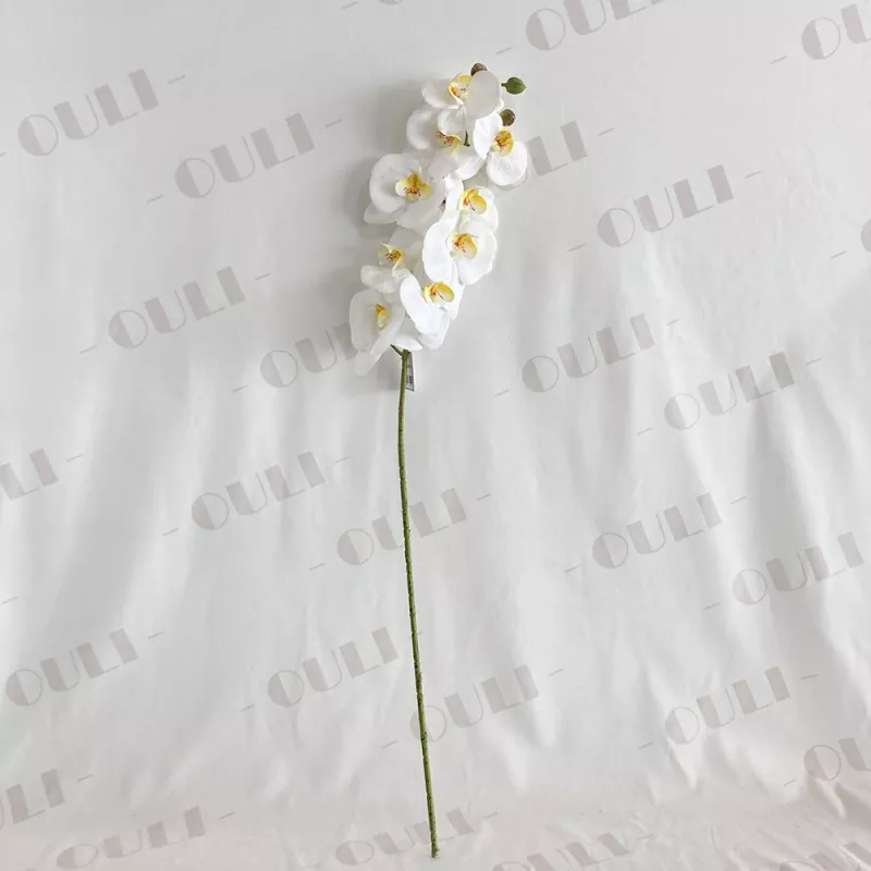 Vraie touche fausse orchidée