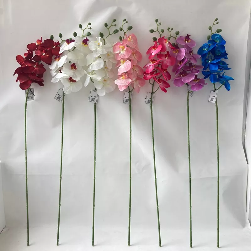 Orchidée de la fleur de fleur de soie