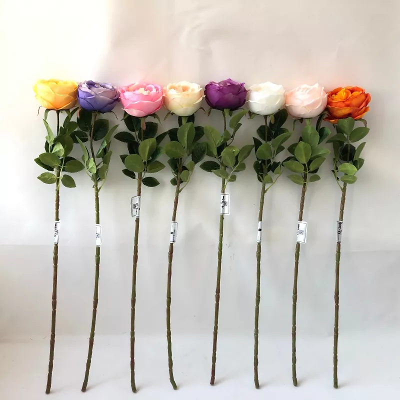 Fales fleurs de pivoine blanches